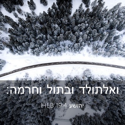 Picture 03 - יהושע 19:4 HEB - ואלתולד ובתול - Bible Verse Picture