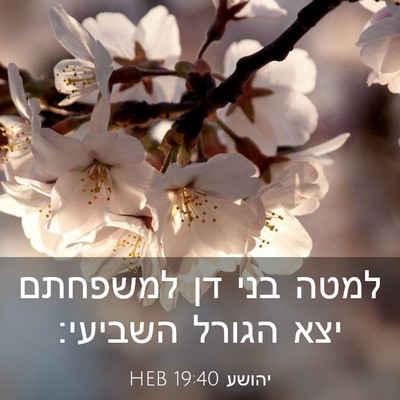 Picture 03 - יהושע 19:40 HEB - למטה בני דן למשפחתם יצא - Bible Verse Picture