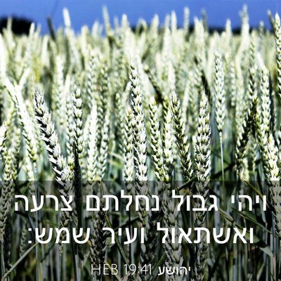 Picture 03 - יהושע 19:41 HEB - ויהי גבול נחלתם צרעה - Bible Verse Picture