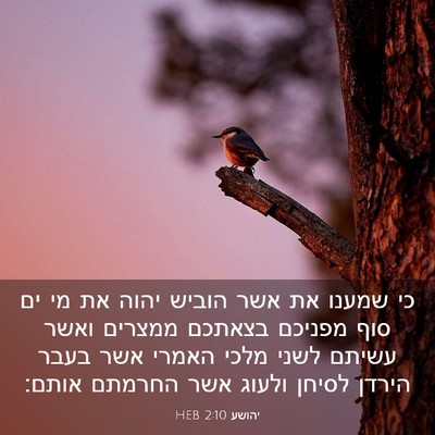 Picture 03 - יהושע 2:10 HEB - כי שמענו את אשר הוביש יהוה - Bible Verse Picture