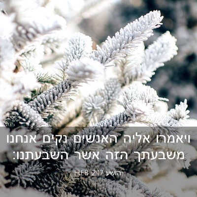 Picture 03 - יהושע 2:17 HEB - ויאמרו אליה האנשים נקים - Bible Verse Picture
