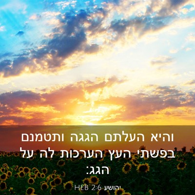 Picture 03 - יהושע 2:6 HEB - והיא העלתם הגגה ותטמנם - Bible Verse Picture