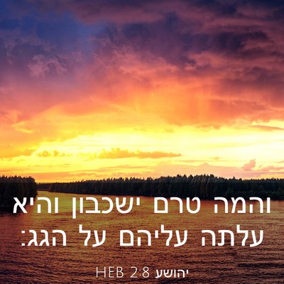 Picture 03 - יהושע 2:8 HEB - והמה טרם ישכבון והיא עלתה - Bible Verse Picture