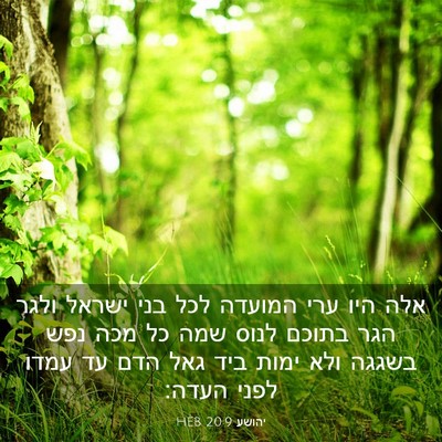 Picture 03 - יהושע 20:9 HEB - אלה היו ערי המועדה לכל בני - Bible Verse Picture