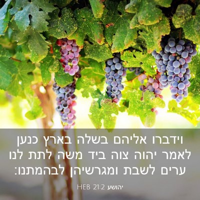 Picture 03 - יהושע 21:2 HEB - וידברו אליהם בשלה בארץ - Bible Verse Picture