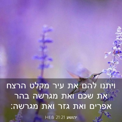 Picture 03 - יהושע 21:21 HEB - ויתנו להם את עיר מקלט הרצח - Bible Verse Picture