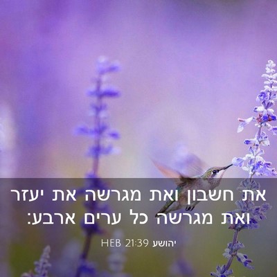Picture 03 - יהושע 21:39 HEB - את חשבון ואת מגרשה את יעזר - Bible Verse Picture