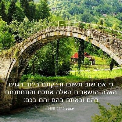Picture 03 - יהושע 23:12 HEB - כי אם שוב תשובו ודבקתם ביתר - Bible Verse Picture