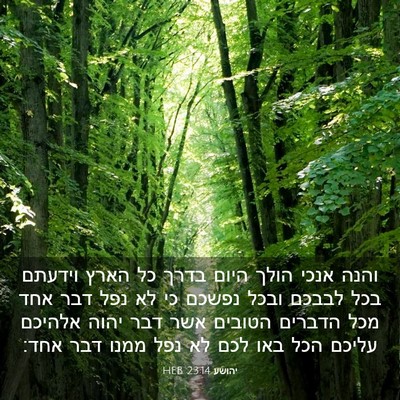 Picture 03 - יהושע 23:14 HEB - והנה אנכי הולך היום בדרך כל - Bible Verse Picture