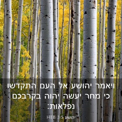 Picture 03 - יהושע 3:5 HEB - ויאמר יהושע אל העם התקדשו - Bible Verse Picture