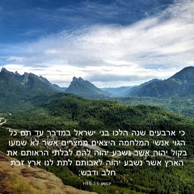 Picture 03 - יהושע 5:6 HEB - כי ארבעים שנה הלכו בני - Bible Verse Picture