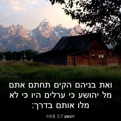 Picture 03 - יהושע 5:7 HEB - ואת בניהם הקים תחתם אתם מל - Bible Verse Picture
