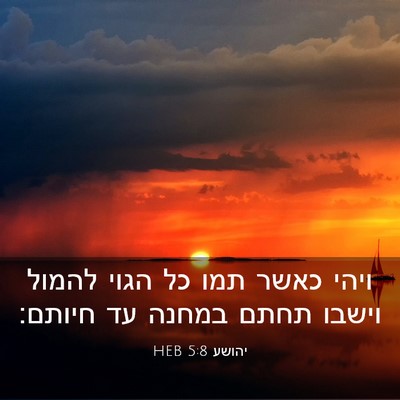 Picture 03 - יהושע 5:8 HEB - ויהי כאשר תמו כל הגוי להמול - Bible Verse Picture