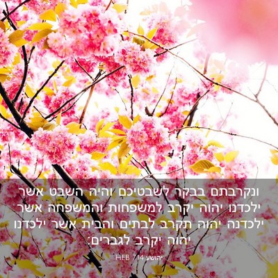 Picture 03 - יהושע 7:14 HEB - ונקרבתם בבקר לשבטיכם והיה - Bible Verse Picture