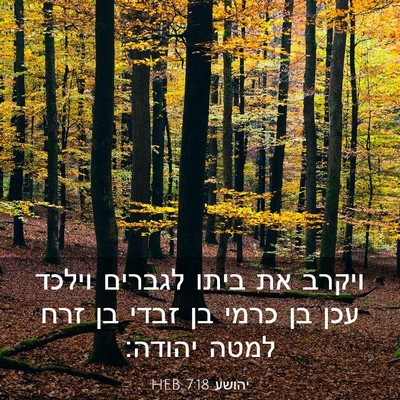 Picture 03 - יהושע 7:18 HEB - ויקרב את ביתו לגברים וילכד - Bible Verse Picture