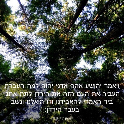 Picture 03 - יהושע 7:7 HEB - ויאמר יהושע אהה אדני יהוה - Bible Verse Picture