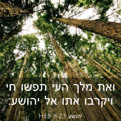 Picture 03 - יהושע 8:23 HEB - ואת מלך העי תפשו חי ויקרבו - Bible Verse Picture