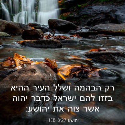 Picture 03 - יהושע 8:27 HEB - רק הבהמה ושלל העיר ההיא - Bible Verse Picture