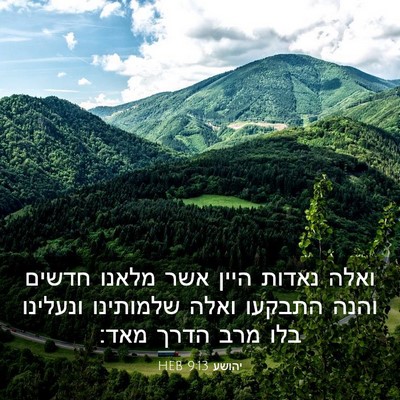 Picture 03 - יהושע 9:13 HEB - ואלה נאדות היין אשר מלאנו - Bible Verse Picture