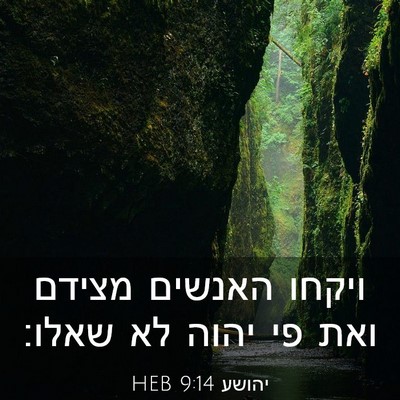 Picture 03 - יהושע 9:14 HEB - ויקחו האנשים מצידם ואת פי - Bible Verse Picture