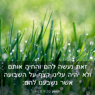 Picture 03 - יהושע 9:20 HEB - זאת נעשה להם והחיה אותם ולא - Bible Verse Picture