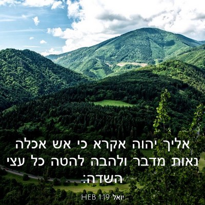 Picture 03 - יואל 1:19 HEB - אליך יהוה אקרא כי אש אכלה - Bible Verse Picture