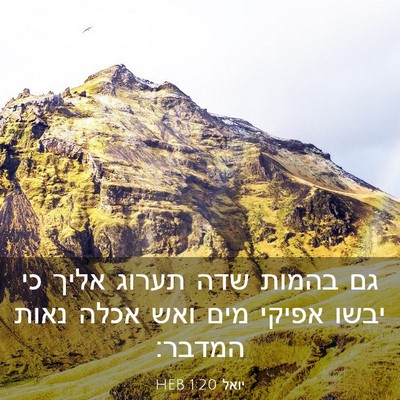 Picture 03 - יואל 1:20 HEB - גם בהמות שדה תערוג אליך כי - Bible Verse Picture