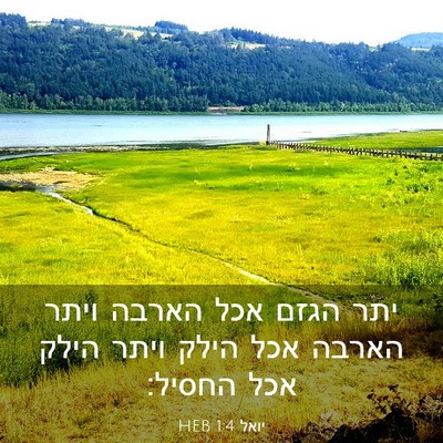 Picture 03 - יואל 1:4 HEB - יתר הגזם אכל הארבה ויתר - Bible Verse Picture