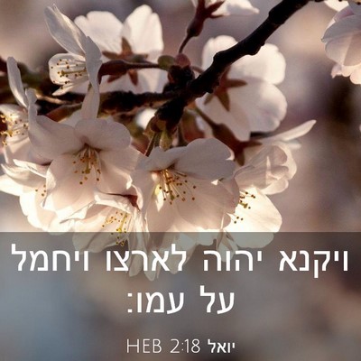 Picture 03 - יואל 2:18 HEB - ויקנא יהוה לארצו ויחמל על - Bible Verse Picture