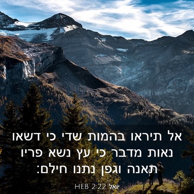 Picture 03 - יואל 2:22 HEB - אל תיראו בהמות שדי כי דשאו - Bible Verse Picture