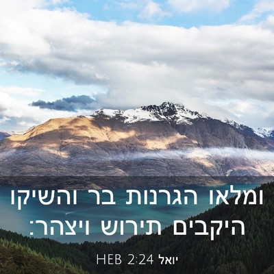 Picture 03 - יואל 2:24 HEB - ומלאו הגרנות בר והשיקו - Bible Verse Picture