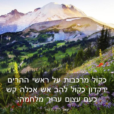 Picture 03 - יואל 2:5 HEB - כקול מרכבות על ראשי ההרים - Bible Verse Picture