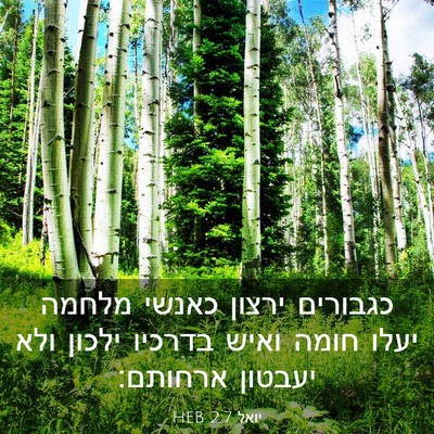 Picture 03 - יואל 2:7 HEB - כגבורים ירצון כאנשי מלחמה - Bible Verse Picture