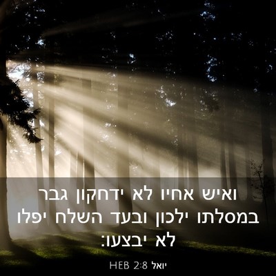 Picture 03 - יואל 2:8 HEB - ואיש אחיו לא ידחקון גבר - Bible Verse Picture