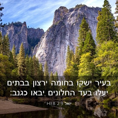 Picture 03 - יואל 2:9 HEB - בעיר ישקו בחומה ירצון - Bible Verse Picture