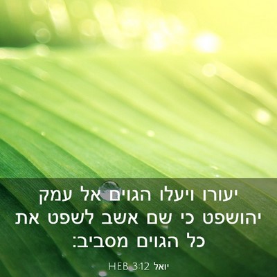 Picture 03 - יואל 3:12 HEB - יעורו ויעלו הגוים אל עמק - Bible Verse Picture