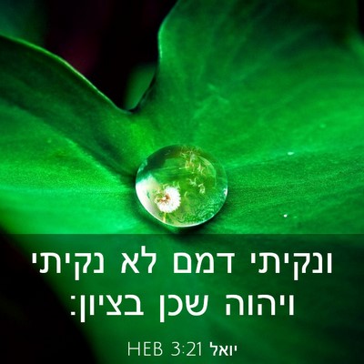 Picture 03 - יואל 3:21 HEB - ונקיתי דמם לא נקיתי ויהוה - Bible Verse Picture