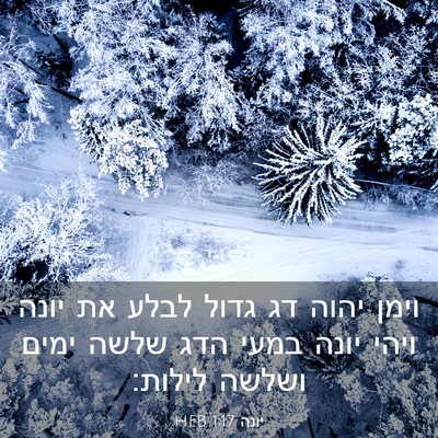 Picture 03 - יונה 1:17 HEB - וימן יהוה דג גדול לבלע את - Bible Verse Picture