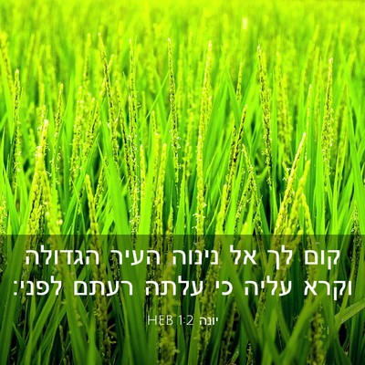 Picture 03 - יונה 1:2 HEB - קום לך אל נינוה העיר הגדולה - Bible Verse Picture