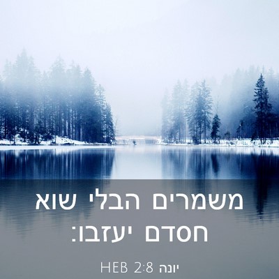 Picture 03 - יונה 2:8 HEB - משמרים הבלי שוא חסדם - Bible Verse Picture