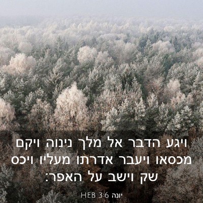 Picture 03 - יונה 3:6 HEB - ויגע הדבר אל מלך נינוה ויקם - Bible Verse Picture