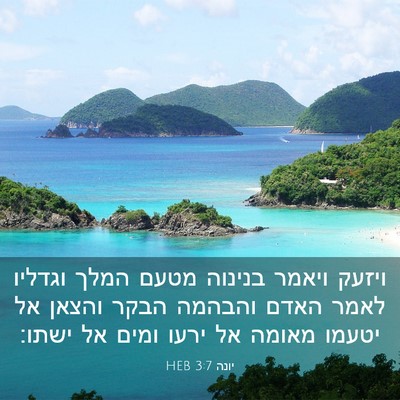 Picture 03 - יונה 3:7 HEB - ויזעק ויאמר בנינוה מטעם - Bible Verse Picture