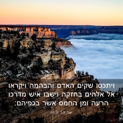 Picture 03 - יונה 3:8 HEB - ויתכסו שקים האדם והבהמה - Bible Verse Picture