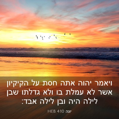 Picture 03 - יונה 4:10 HEB - ויאמר יהוה אתה חסת על - Bible Verse Picture