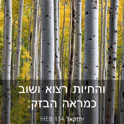 Picture 03 - יחזקאל 1:14 HEB - והחיות רצוא ושוב כמראה - Bible Verse Picture