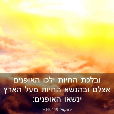 Picture 03 - יחזקאל 1:19 HEB - ובלכת החיות ילכו האופנים - Bible Verse Picture