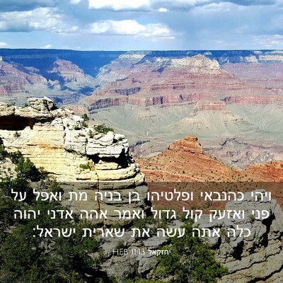 Picture 03 - יחזקאל 11:13 HEB - ויהי כהנבאי ופלטיהו בן - Bible Verse Picture