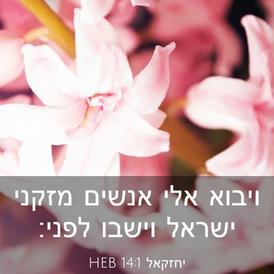Picture 03 - יחזקאל 14:1 HEB - ויבוא אלי אנשים מזקני - Bible Verse Picture