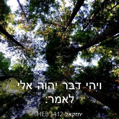 Picture 03 - יחזקאל 14:12 HEB - ויהי דבר יהוה אלי - Bible Verse Picture