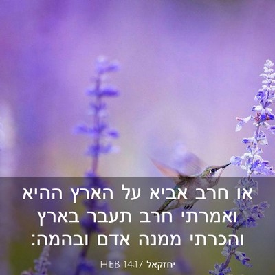Picture 03 - יחזקאל 14:17 HEB - או חרב אביא על הארץ ההיא - Bible Verse Picture